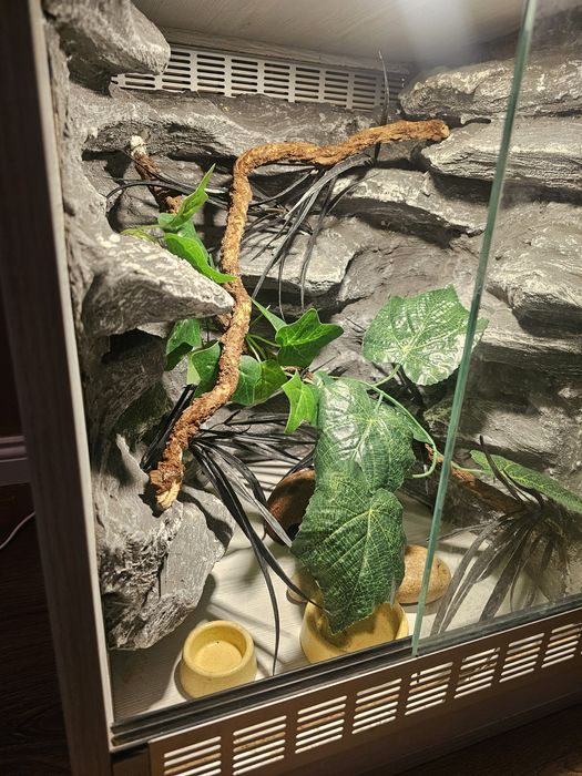 Terrarium  stan dobry .