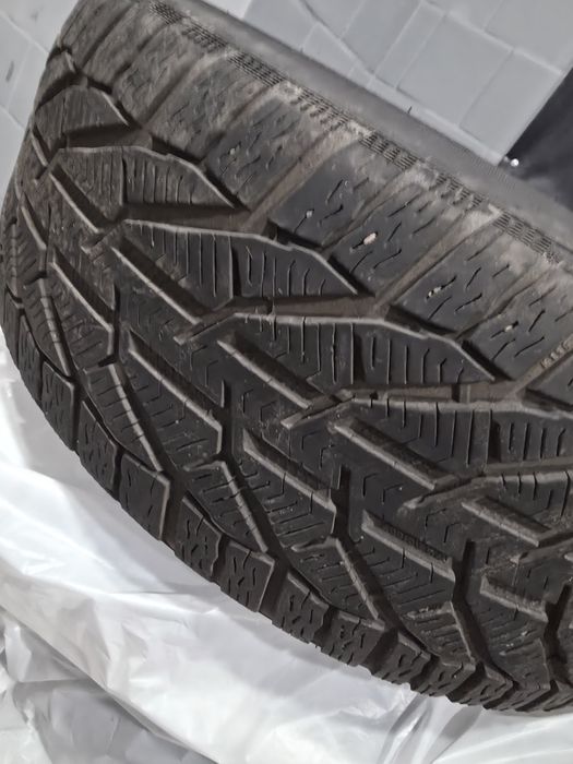 Зимние шины Tigar SUV Winter 255/50 R20 109V XL