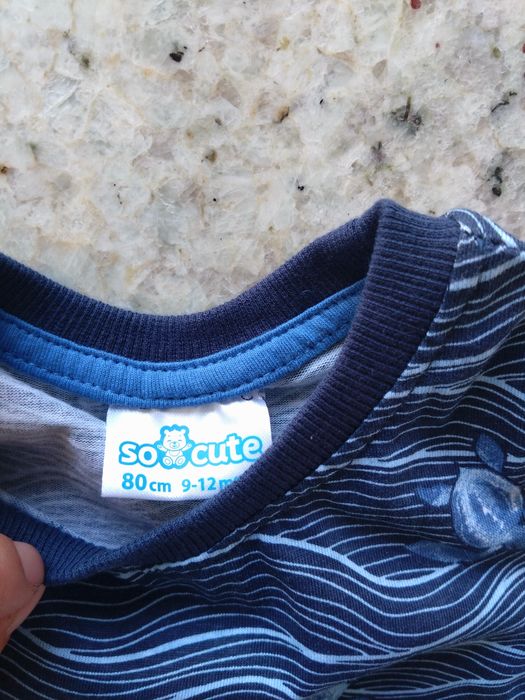 Nowa koszulka t-shirt granat marine żółwie So cute Pepco 80