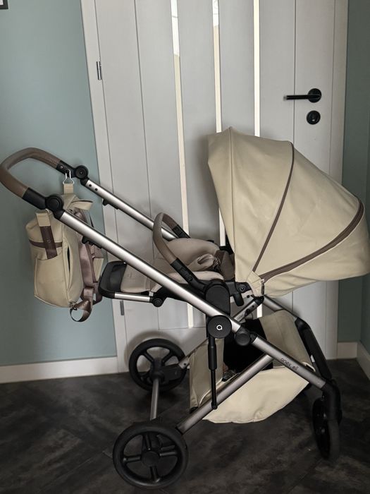 Anex Eli Muse 2024,