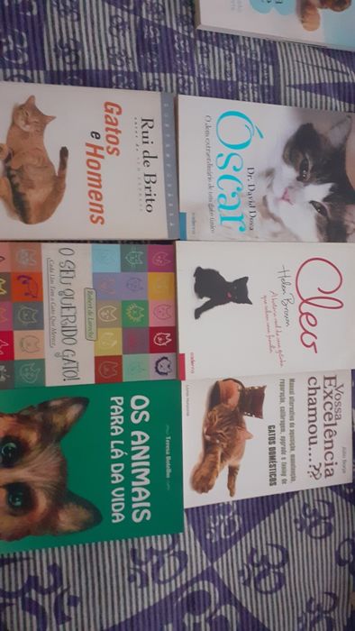 Literatura internacional Petz