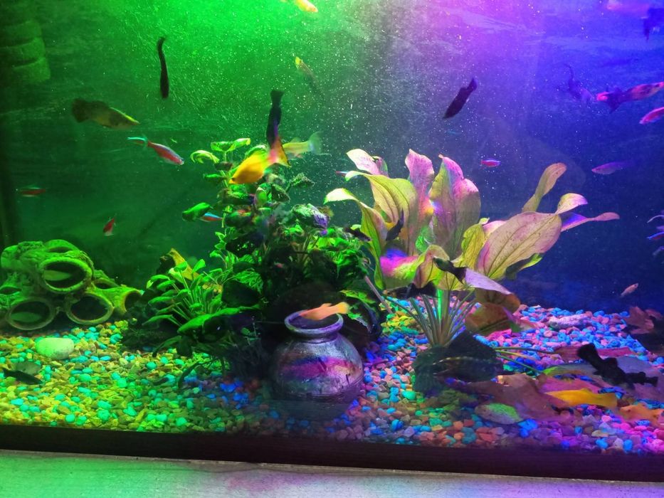 Продам акваріум на 240л.