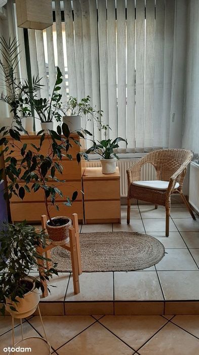 lokal usługowy, gabinety, biuro, ul. Głęboka