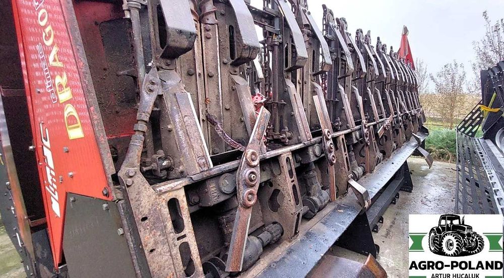 Кукурудзяна жатка - OLIMAC DRAGO S 8 TR - 8X70 - 2014 рік