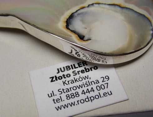 Srebrna zawieszka liść masa perłowa.