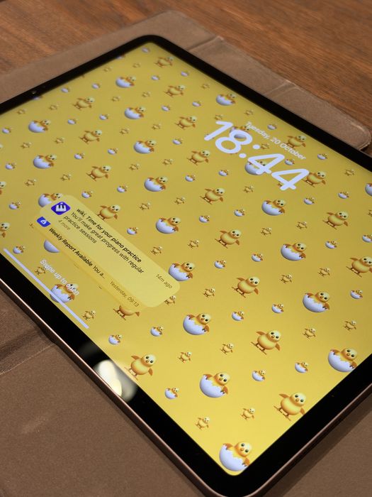 iPad Pro 11" 2018 64 GB Wi-Fi Space Gray + etui