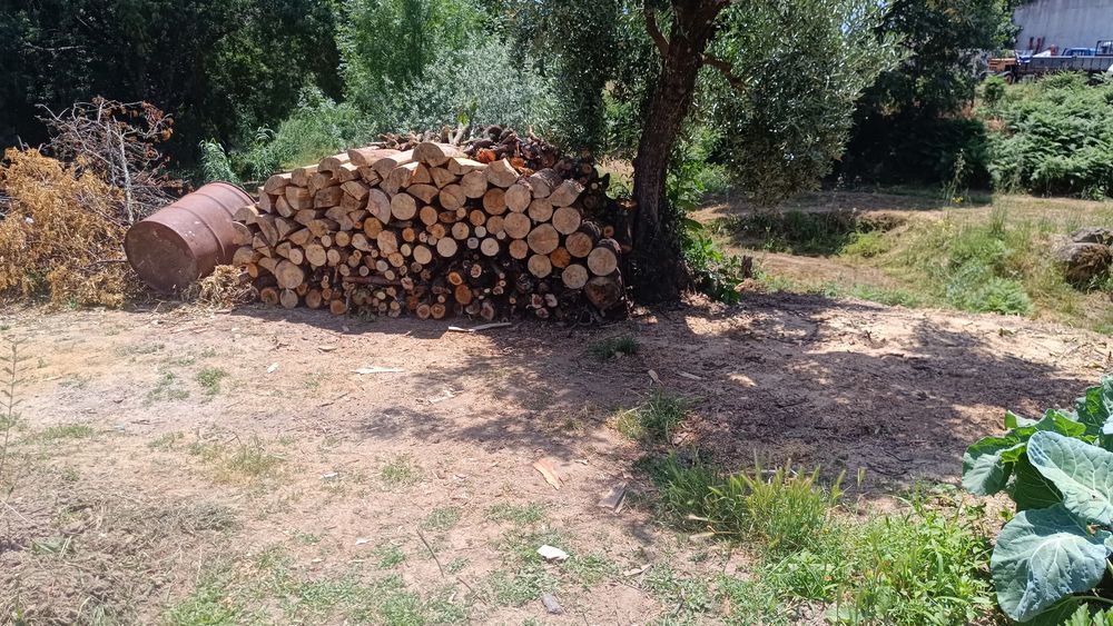 Vendo lenha com saca pinha oferta por m3