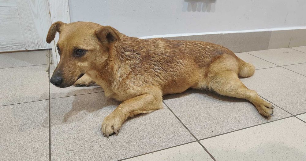 Siedlce, czyja zguba??