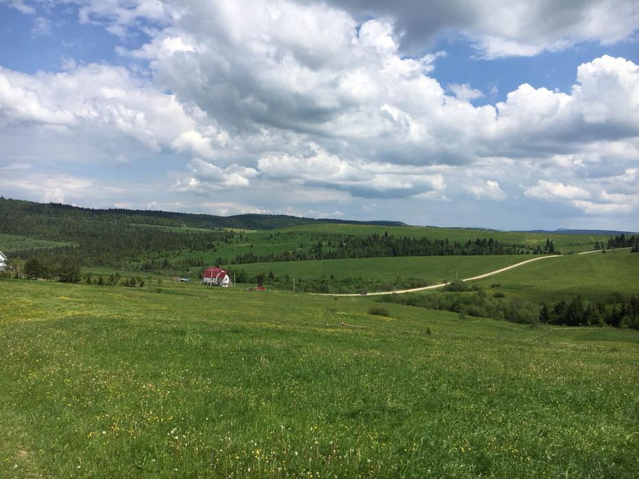 Земельна ділянка с. Верхній Турів Карпати