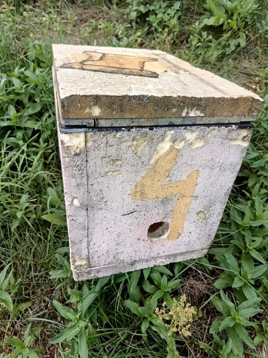 Ule wielkopolskie odkładowe 5r