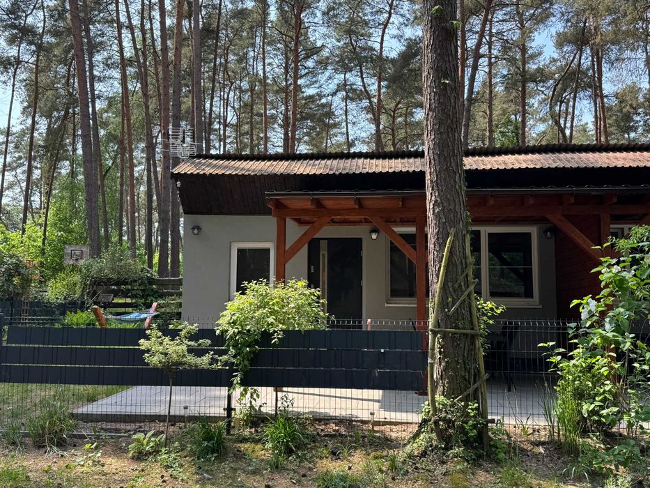 Domek do wynajęcia nad jeziorem i w lesie | 2 niezależne części | Długie, lubuskie