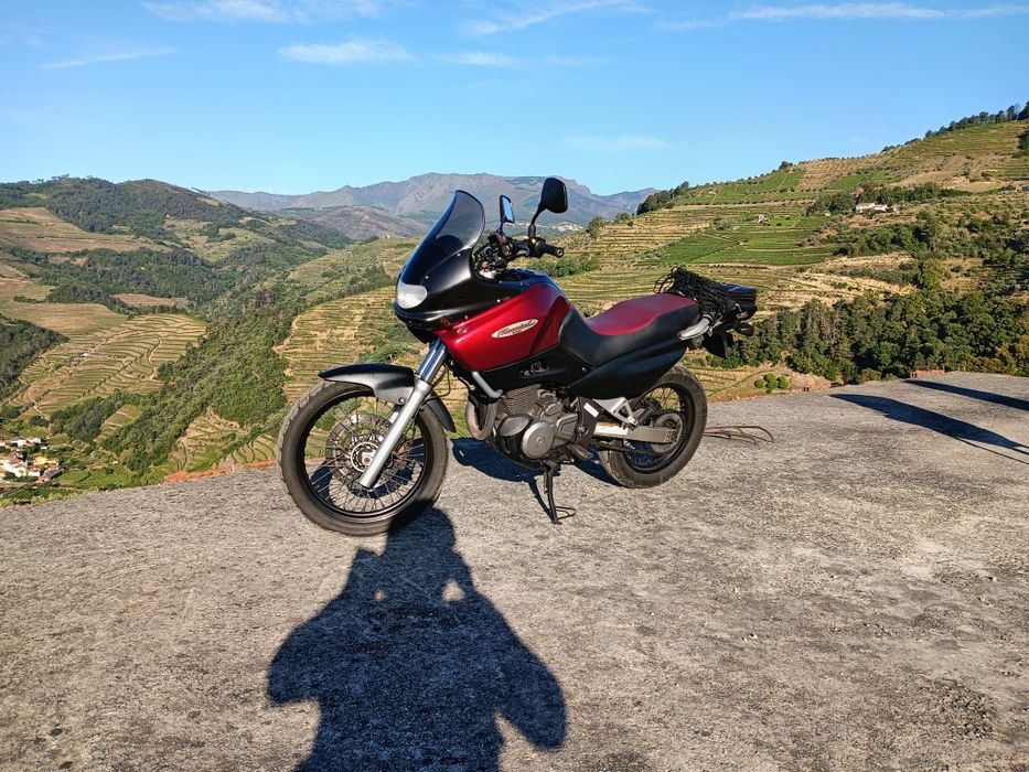 Suzuki Dr 650 Freewind