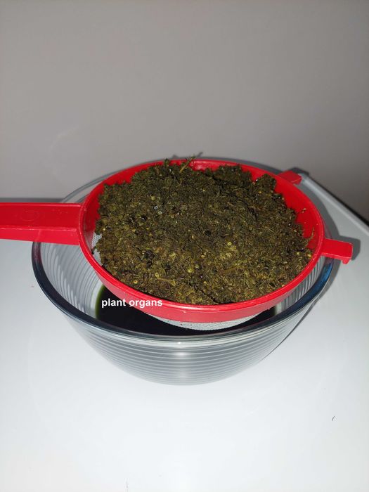 OLEJ CBD 15%, własna produkcja, NAJWYŻSZA jakość!