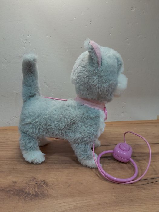 Kot na smyczy miałczy chodzi