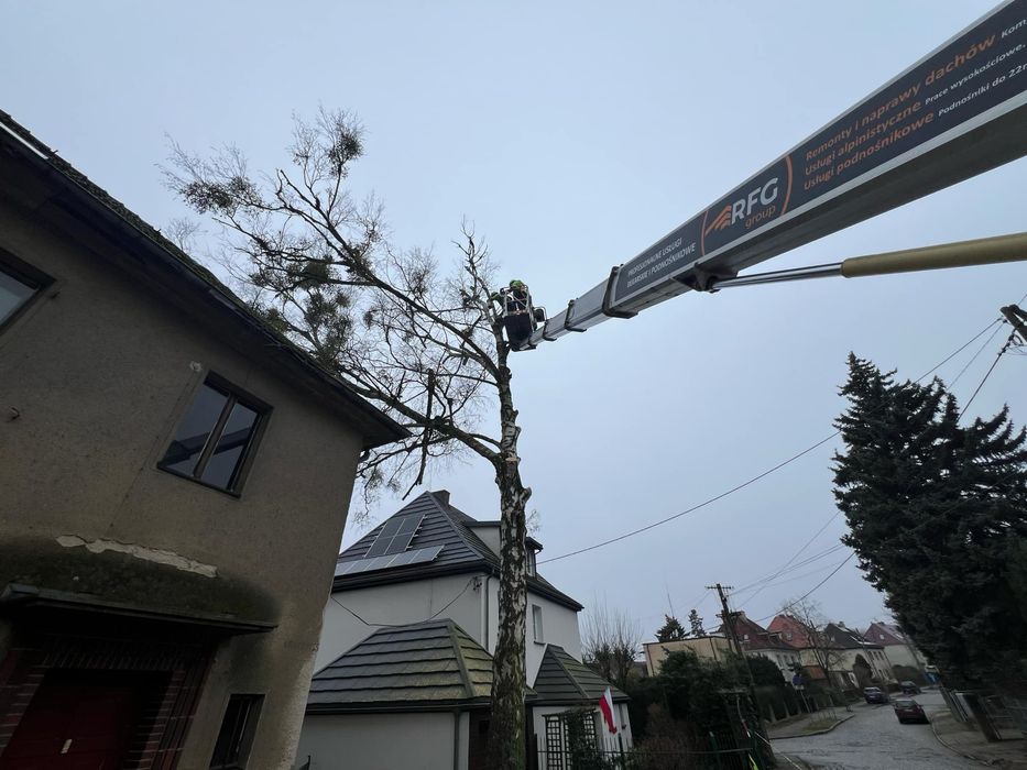 Podnosnik Koszowy  zwyzka 24h do wynajecia