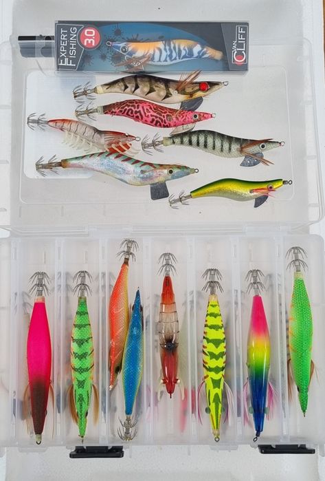 Palhaços pesca choco