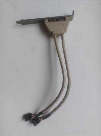 Śledź Port 2 x FireWire