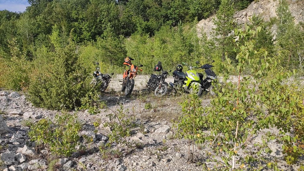 Продам мустанг 110 срочно !!!