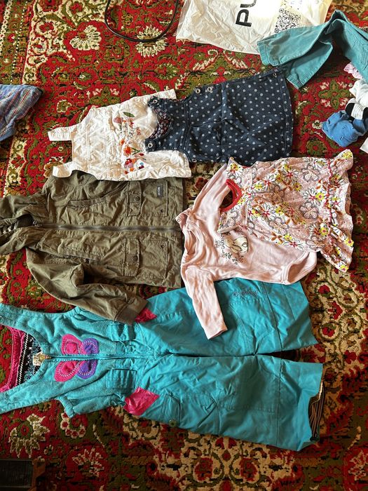 Отдам бесплатно