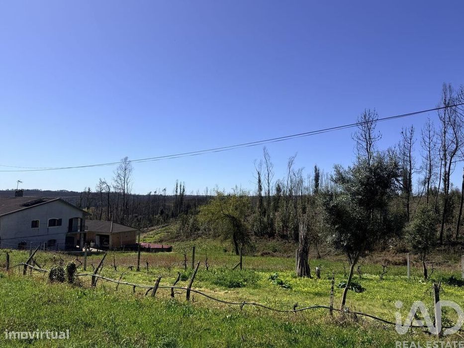 Terreno para construção em Albergaria-a-Velha e Valmaior