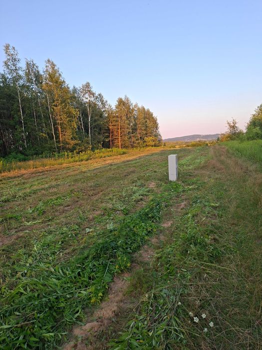 Na sprzedaż 3 (z 4) działki budowlane z WZ – Grabiny, gm. Czarna, pow. dębicki