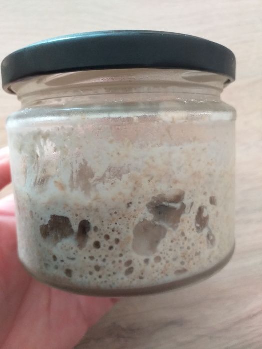 Zakwas orkiszowy do wypieku domowego chleba