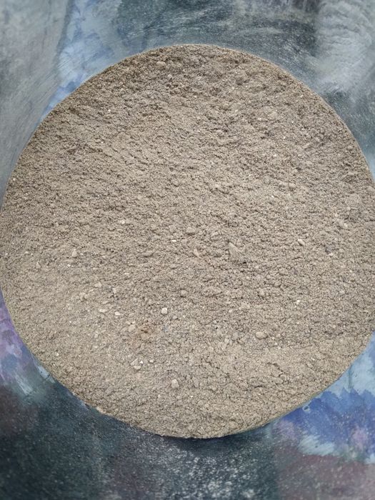 Гриби мариновані, солоні та квашені