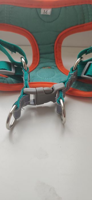 Ошийник для собак