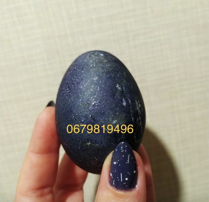 Різні інкубаційні яйця