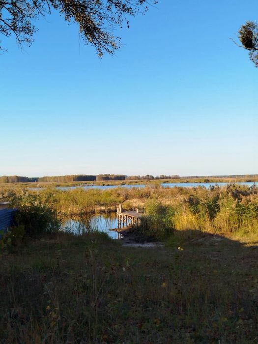 Продам дачу з ділянкою. Вишгород. Пилява.