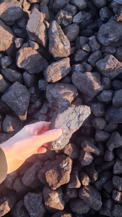 Oddam za darmo Węgiel