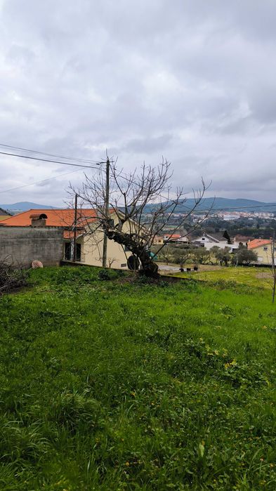 Limpeza de terrenos e jardins