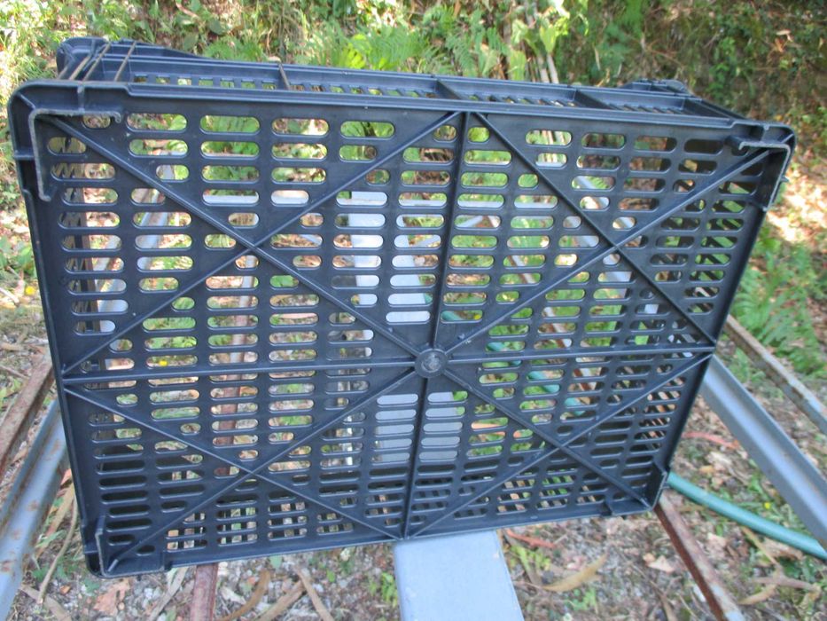 plastic boxes64387380774787122