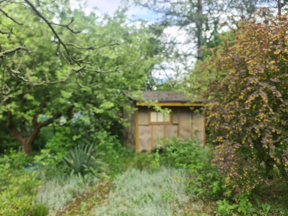 Ogród działkowy ROD zgoda odstąpię