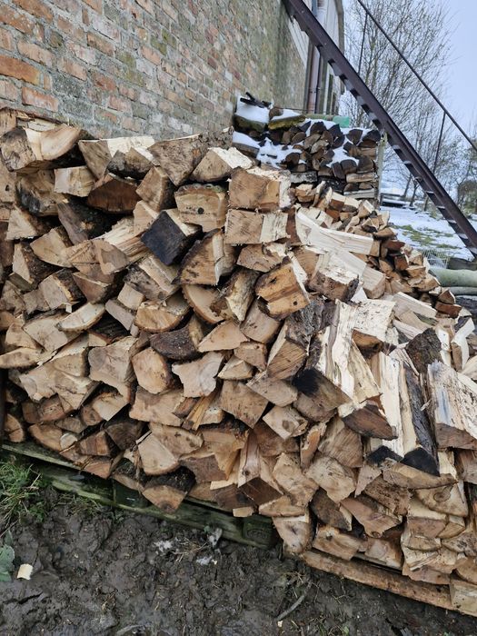 Drewno opałowe klon