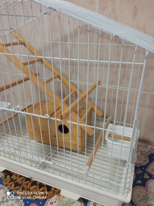 Gaiola para hamster + gaiola p ficheres ou papagaio etc.