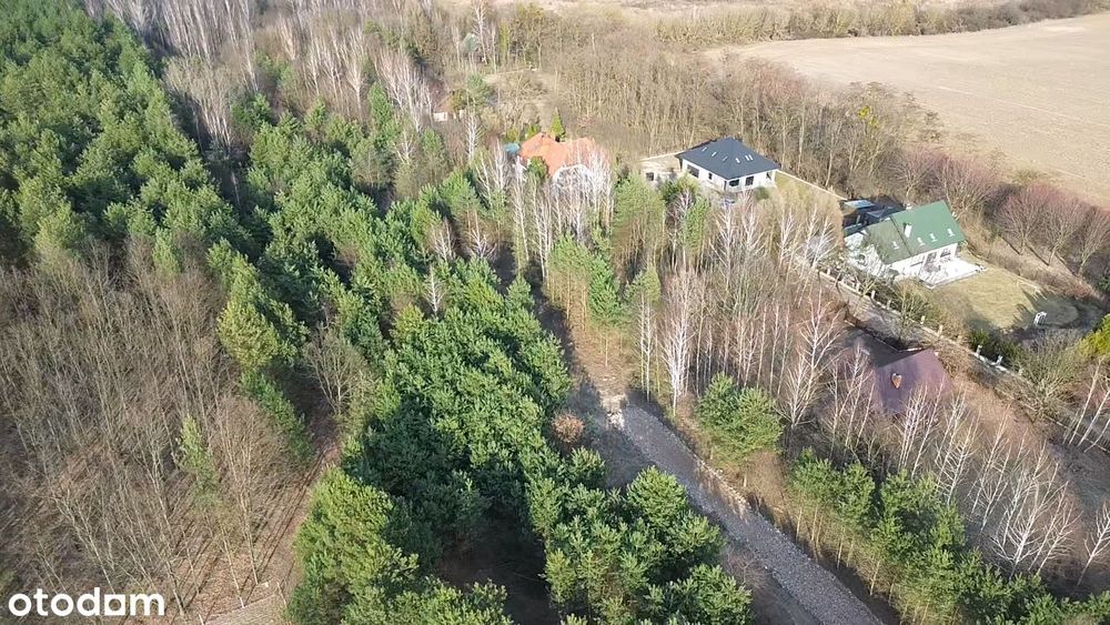 Działka budowlana – Książenice, gmina Grodzisk Mazowiecki - View 2