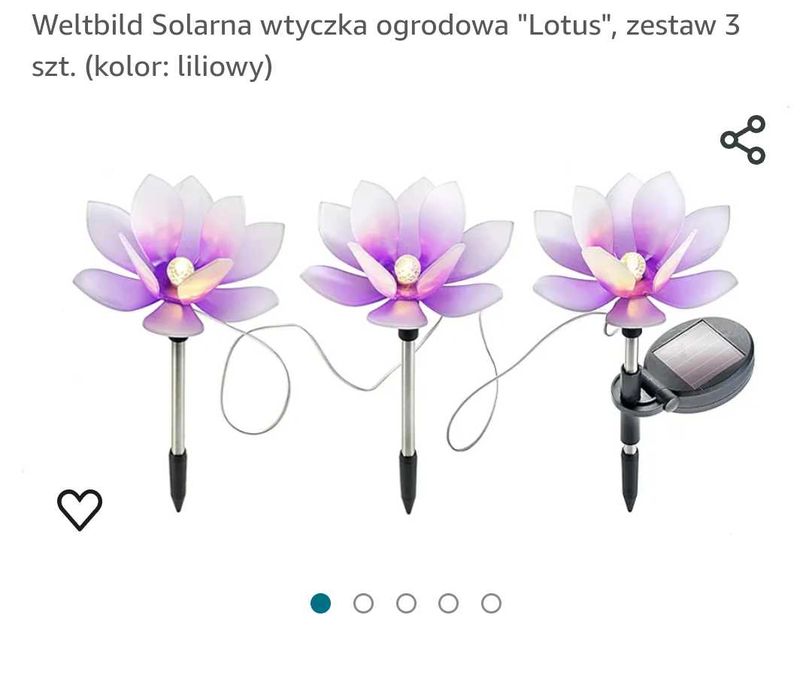 Solar-Ogrod,,kwiat lotosu