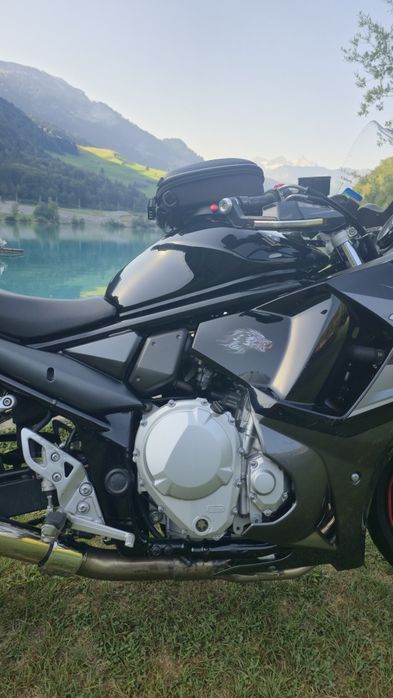 Suzuki GSX 650F 2009