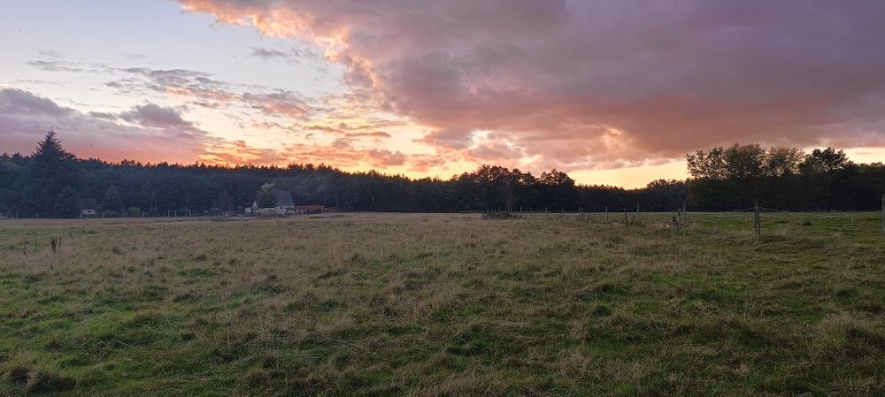 Działka z warunkami zabudowy - Widok 2