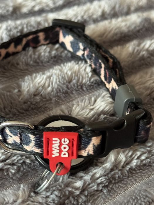 Нашийник xs wau dog