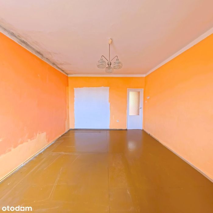 Zdjęcie 8
