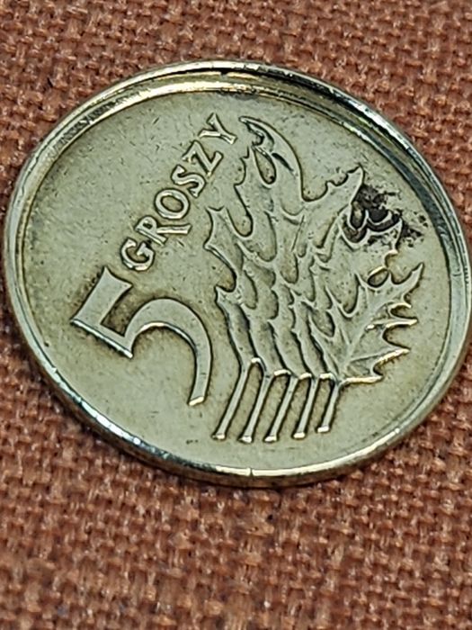 Potężny destrukt 5 groszy 2010 | Wybicie poza kołnierzem | unikat