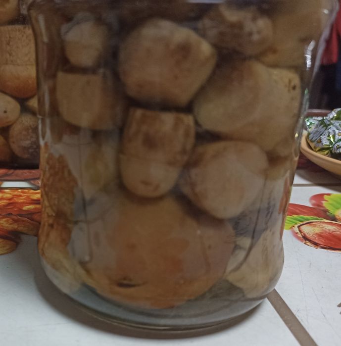 Продам різні види грибів