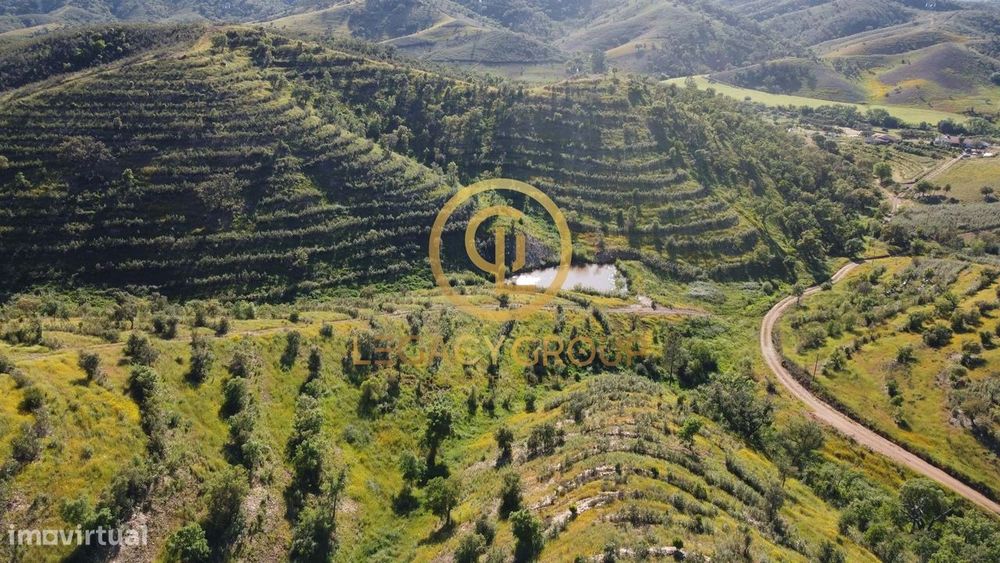 Terreno de 15,6 hectares em Sabóia, Odemira