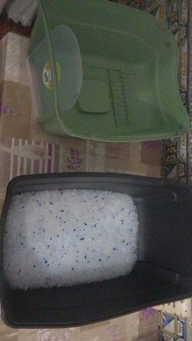 Casa banho de gatos