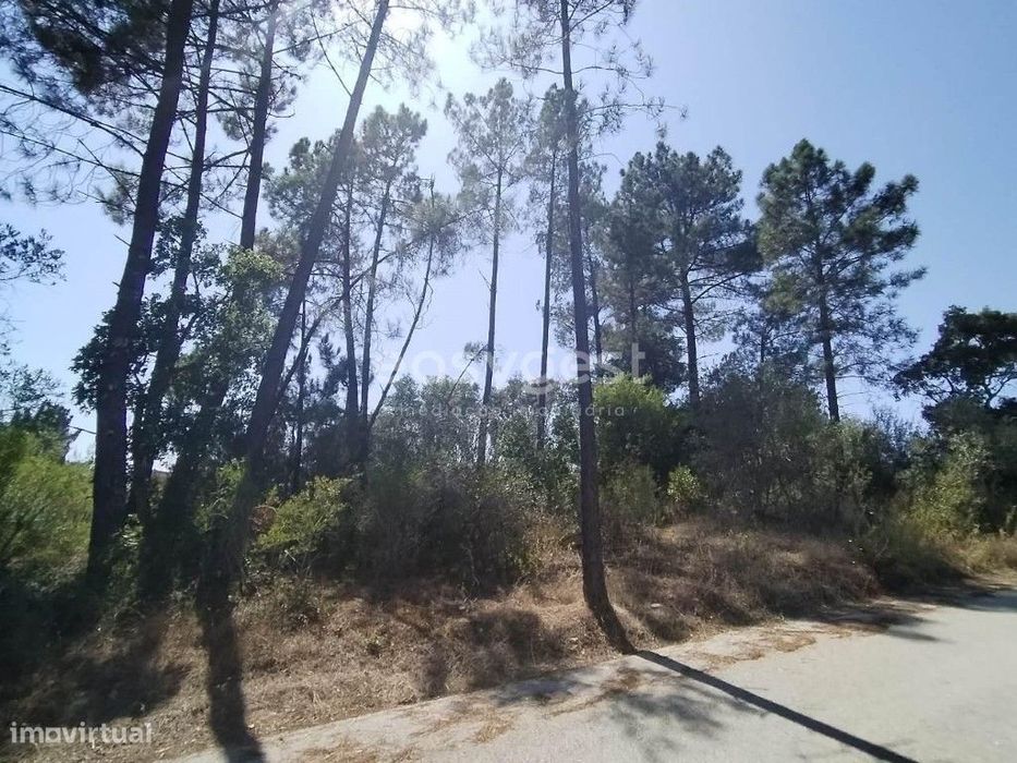 Terreno inserido na malha urbana e a cerca de 50 metros do Rio Zêzere — Serra E Junceira, Santarém