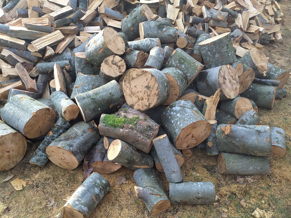 Дрова бук з доставкою