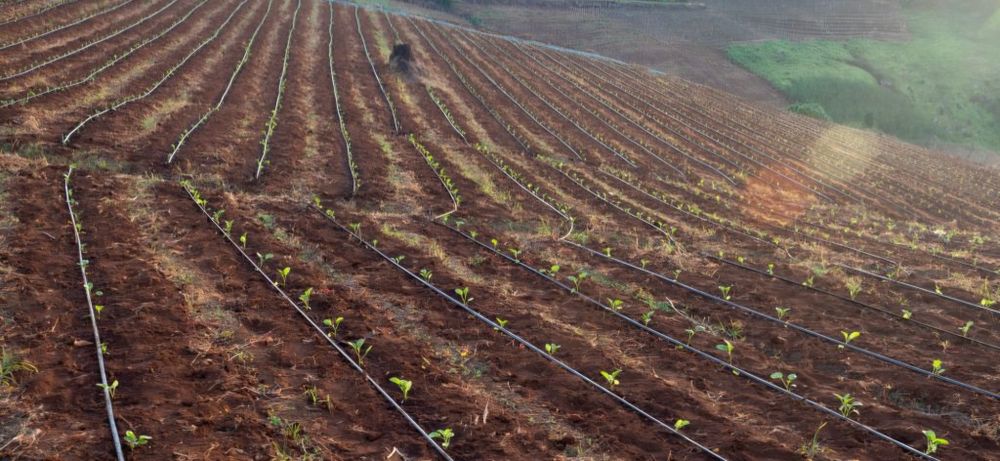 Linia kroplująca 400m/33cm/2lh