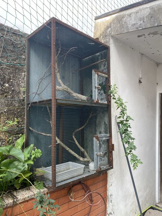 Gaiola para pássaros